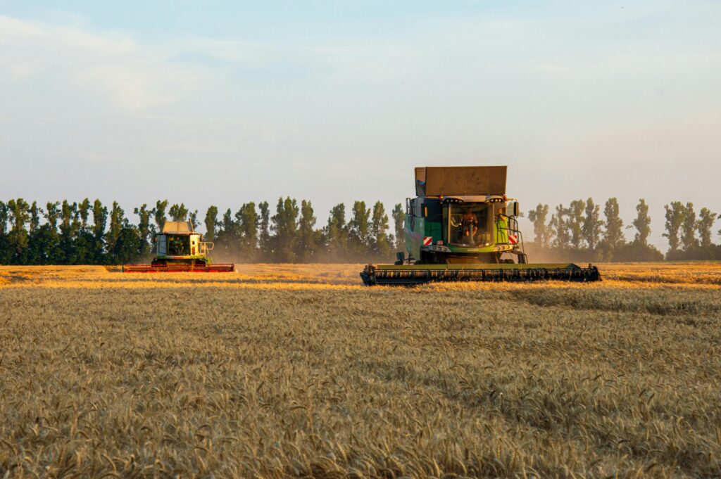 Combine harvesters working in a golden wheat field during autumn.